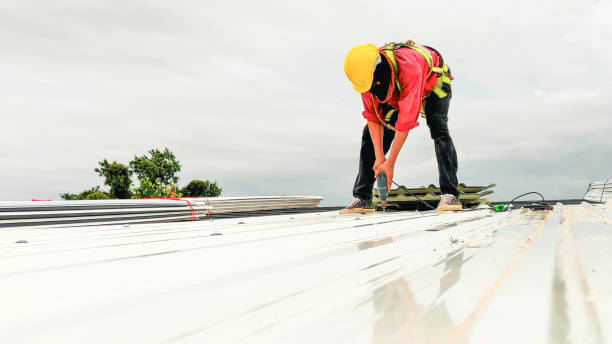 Best Roof Insulation Installation  in Jena, LA