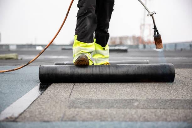 Best Roof Ventilation Installation  in Jena, LA