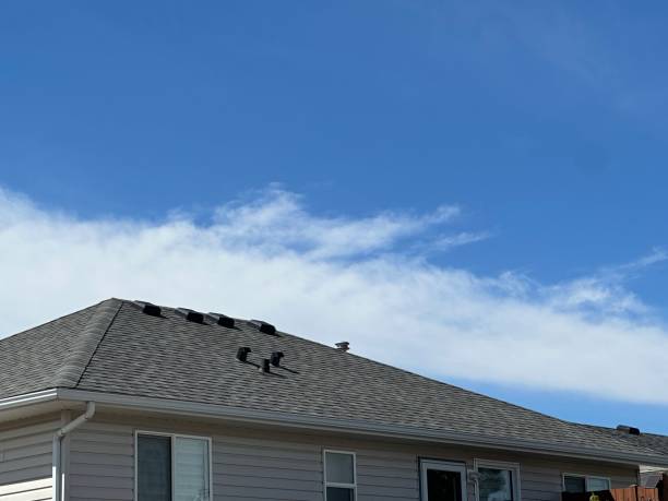 Roof Insulation in Jena, LA
